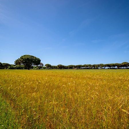 Agriturismo Bio Femminella Принчипіна-а-Маре Екстер'єр фото