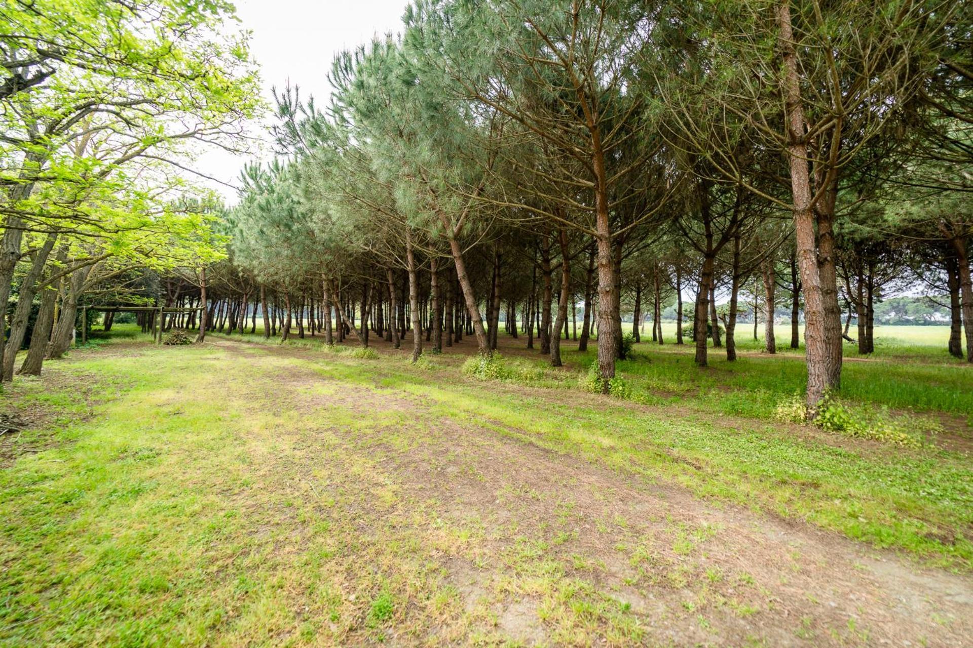 Agriturismo Bio Femminella Принчипіна-а-Маре Екстер'єр фото